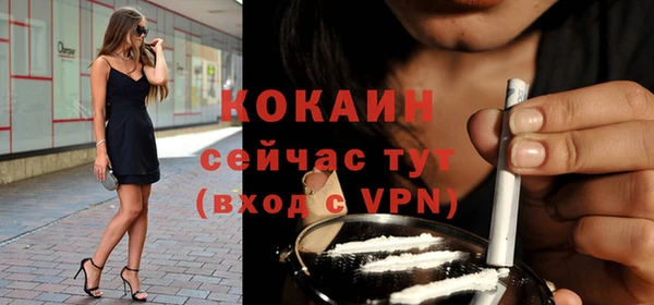 стаф Зеленокумск