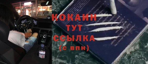стаф Зеленокумск