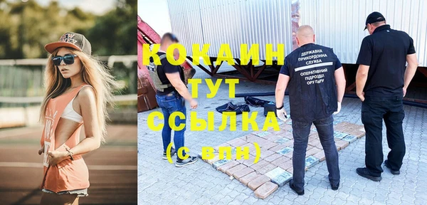 стаф Зеленокумск