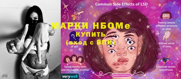 стаф Зеленокумск