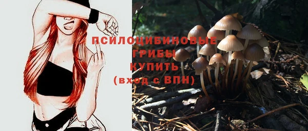 герыч Зеленодольск