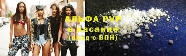 стаф Зеленокумск