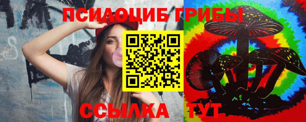 Истра  Псилоцибиновые грибы Magic Shrooms  Галлюциногенные грибы Psilocybine cubensis  Вход с VPN 