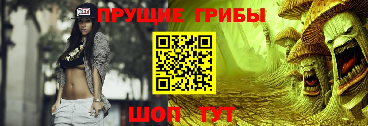 Галлюциногенные грибы Psilocybine cubensis Истра