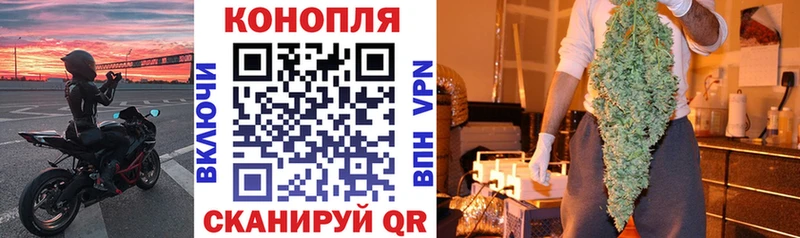 Каннабис сатива  где можно купить   KRAKEN зеркало  Истра 