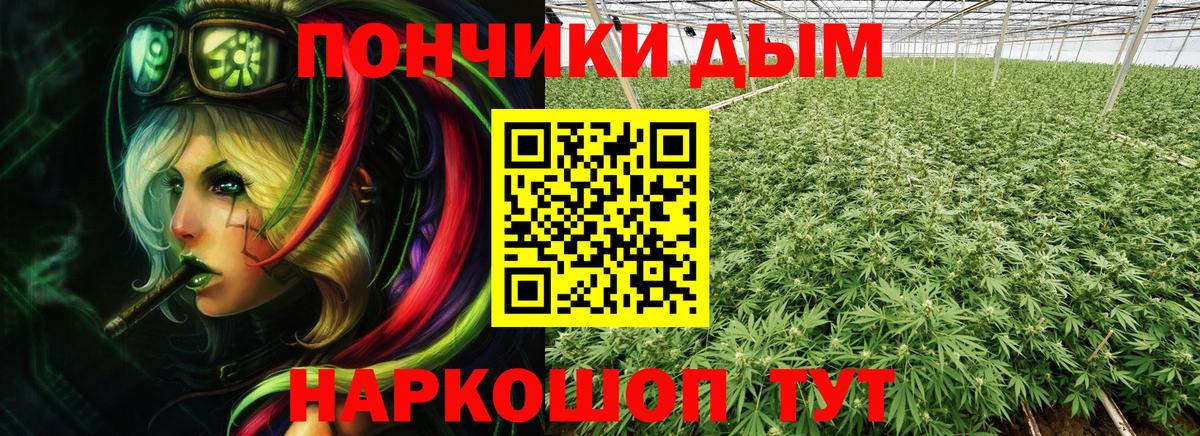 Конопля SATIVA & INDICA Истра